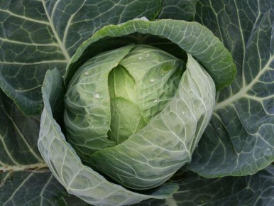 ��� ������� ������� �������� � ������� �������� ��������?