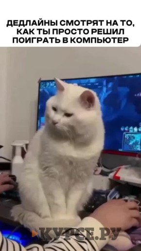 ��������, ������� �� �� �����.��