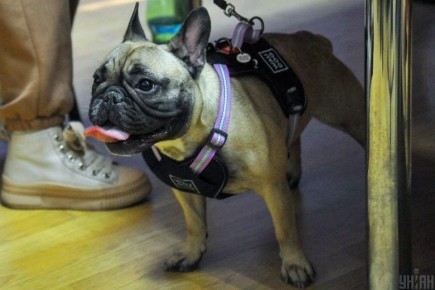 ������� ���� � ������ ���? ����� ������������ � �������� ����������