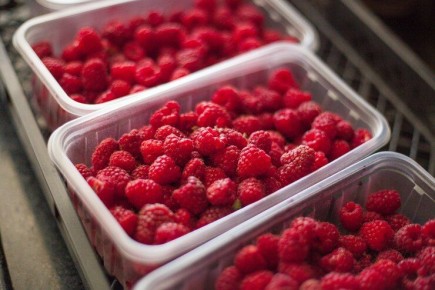 ��� ��������� ������ ����� ����� ���������� ��� ������ �� 20 ����� ������