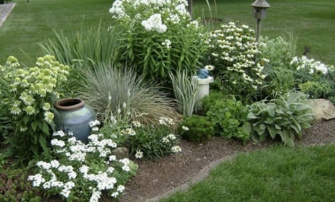 ������ ��� ��� �����? 10 ������� � ����� �������� ��� ������ �������