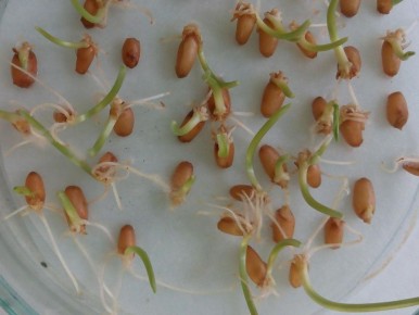 ��� ����������� ����� ����� �������� ���� ��������� � 2025 ����