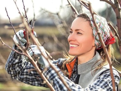 ��� ��������� �������� ������� � ���������� ������: ������ ���������