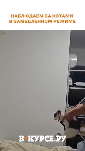 ��������, ������� �� �� �����.��