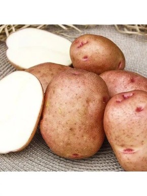 �������: ������������� ��������� � ������� �����������