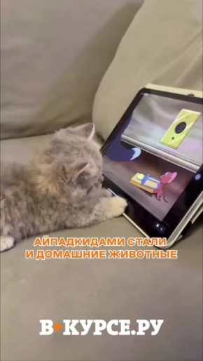 �������� ������� �� �� �����.��