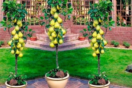 ����� ������: ��������� ����� ��� ������ ����