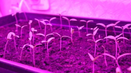 ���������� �����: ��� ��� ������ �� �������