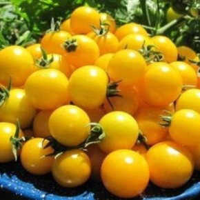 ����� �������� ������: ��� ��������� ��������� ������� � ����� ����