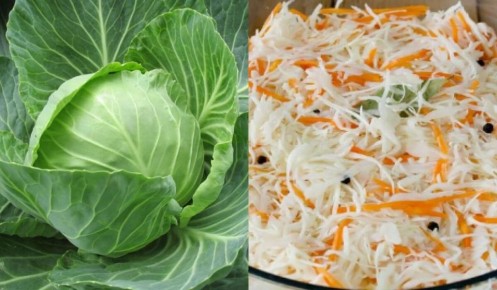 ������� ���� �������� �������: ��� ���������� �� ������ � �����