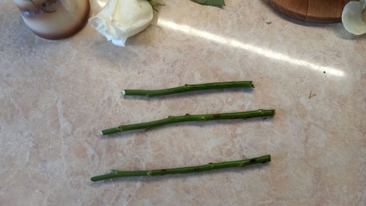 ����������� �� ���������� ��� � ������ ������: ��� ������� 80% ������?