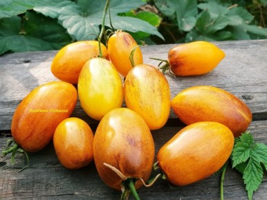 ����� �������� ����� ������: ����� ����� � ��������� ������ ��� ��������� ��������