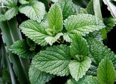 ����� ������: ������ ��, ��� �������� �� ���� �� ����?