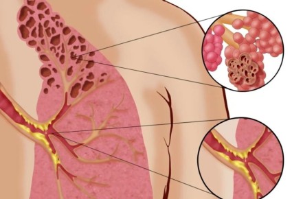 �������������� ������������ ��������� ������� �� 30% �� ���