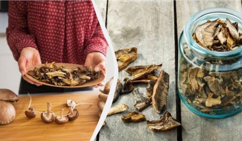 ��� ������ ����������� ������� �����: ������ � ��������