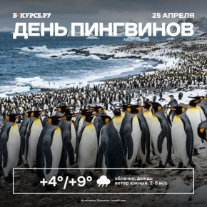 ������ ����, �����! �� �������� �������, ���� ��������� ����� �� �����