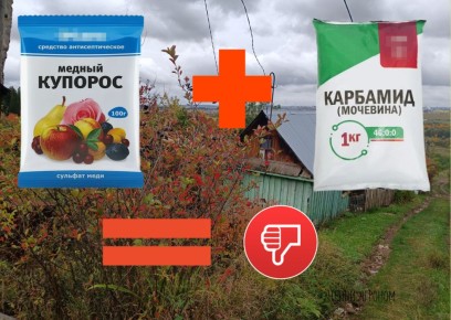 ������ ���������� �������� � �������� ����� ��������� ������ ����