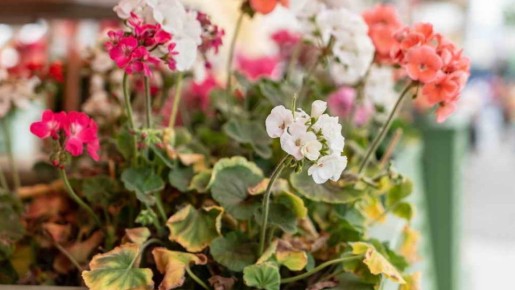 ��� ������ ��������� �������� �� ������ ������: ��� ������� ������ � ���� �������