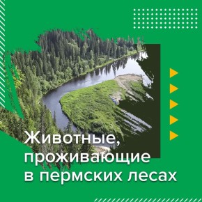 � ����� ����� ��������� ��������� ������ ��������, ������� ������ ����� ��������� �� ����� ��������
