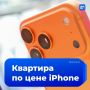 �� ���� ������: ��� ����� ������� ������� � ��������