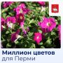 ���������� ���������� ���������� ������ � ������ ������� #�����������