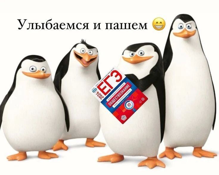 Самые популярные предметы для сдачи ЕГЭ у пермских школьников в этом году назвал краевой Минобр