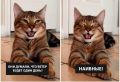 ���� � ������� �����: ������� �� ������ � �������� ���� ������ ������ �Jule�