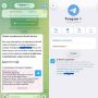 ��������� ������ �������� � Telegram ����� ����������� �� �� ��������