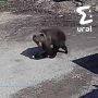 ���� ��� ������ ����� ����� � �������� � �������� ���� � ������� �� ����� � ��������� ����� ������