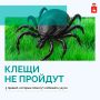 С начала сезона более 11 тысяч жителей Пермского края обратились за медицинской помощью после укусов клещей