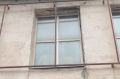 Тигра заметили в мебельном магазине на Бахаревке