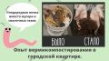 �������������������� ��� ����������: ��� ���������� ������ � ����������� ���������