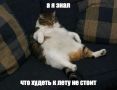 ���� � �������� ���� ����� ���������