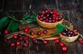 Золотое время для защиты черешни и вишни: как избежать болезней и вредителей в августе