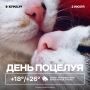 Доброе утро! Целуем всех подписчиков