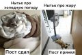 6 июля станет самым теплым днем месяца в Пермском крае