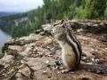 Доброе утро, пермяки!. Усьва Хорошего вам дня : Марина Микрюкова Подпишись на «КП-Пермь» | Мы в Maкс