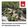 Покатаемся? Приглашаем на велопрогулку по Черняевскому лесу