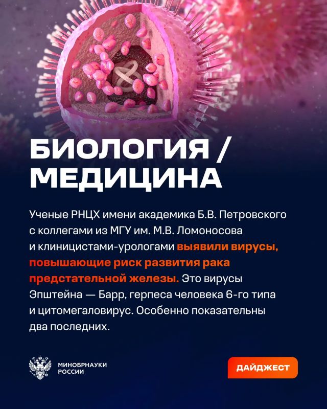 О самых интересных открытиях российских ученых за неделю по версии Минобрнауки России, РАН и РНФ — смотрите в карточках О самых интересных открытиях российских ученых за неделю по версии Минобрнауки России, РАН и РНФ — смотрите в карточках