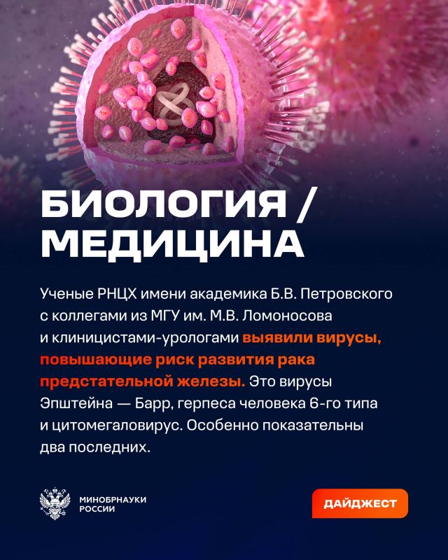 О самых интересных открытиях российских ученых за неделю по версии Минобрнауки России, РАН и РНФ — смотрите в карточках О самых интересных открытиях российских ученых за неделю по версии Минобрнауки России, РАН и РНФ — смотрите в карточках