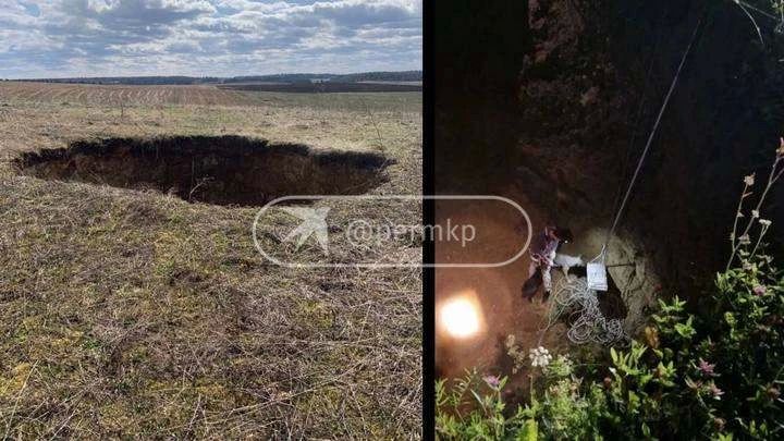 Они уже даже не скулили - ни жалобно, ни радостно: в Пермском крае собаки упали в 12-метровый провал Они уже даже не скулили - ни жалобно, ни радостно: в Пермском крае собаки упали в 12-метровый провал