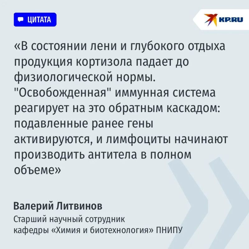 Лень полезна для иммунитета Лень полезна для иммунитета