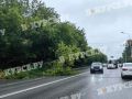 На Южной дамбе упало дерево прямо на дорогу