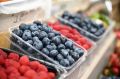 Чем полезны пермские ягоды
