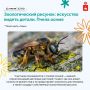 Открываем природу рядом с домом