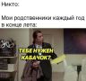 Кабачковый сезон в самом разгаре!