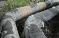 Развивать теплосети в Горнозаводске будет концессионер
