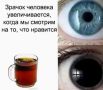 ��� ��� ��� �� ���� �������