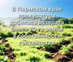 В первом полугодии 2026 года прокуроры направили в суды более 50 исков в сфере земельного законодательства: оспаривали незаконные сделки, добивались установления охранных зон, возвращали земли из чужого незаконного владения...
