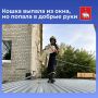 �������� ���������� ��������� ��������� �� �������: �� ������� ����� �� ���� � ���� �� ����� ����